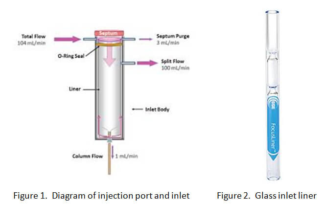 Gas Chromatograph Contamination Issues