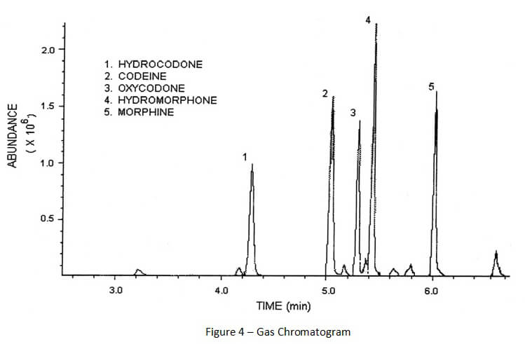 Basics of Gas Chromatography - Mass Spectrometry