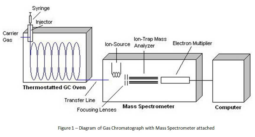 Basics of Gas Chromatography - Mass Spectrometry